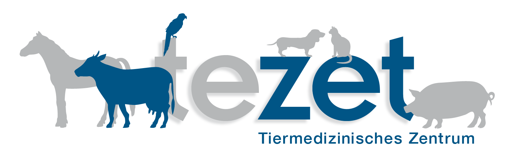 Logo tezet AG